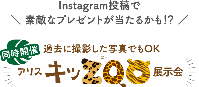 同時開催 Instagram投稿で素敵なプレゼントがあたるかも!?過去に撮影した写真でもOK アリスキッZOO展示会