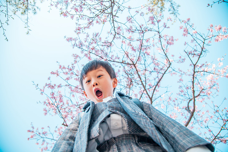 「桜や青空とランドセル姿」は映えるタイミングに