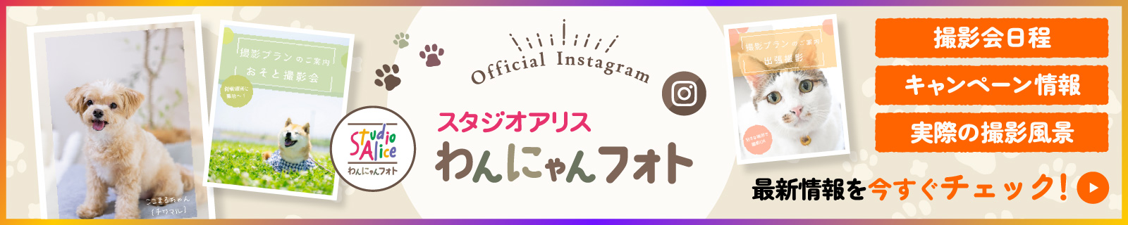 わんにゃんフォト公式インスタグラム